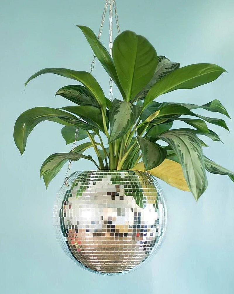 Eclectic Whimsical Disco Ball Hanging Herb Planters for Indoor, Outdoor & Front Yard