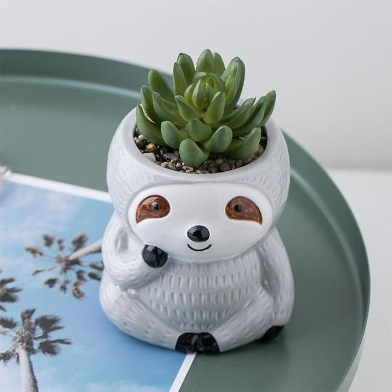 Sloth Planter Pot for Succulents & Plants